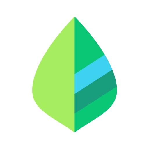 薄荷记账Lonicera